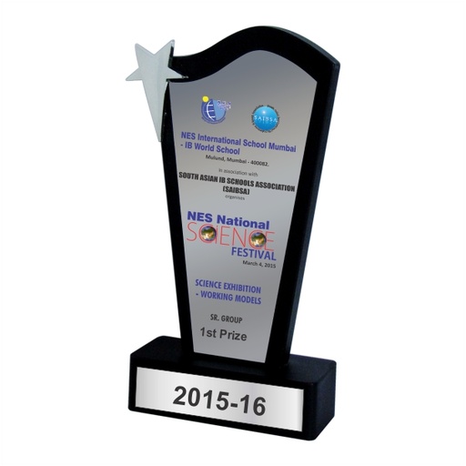 Wood & Metal Trophy WM 9607